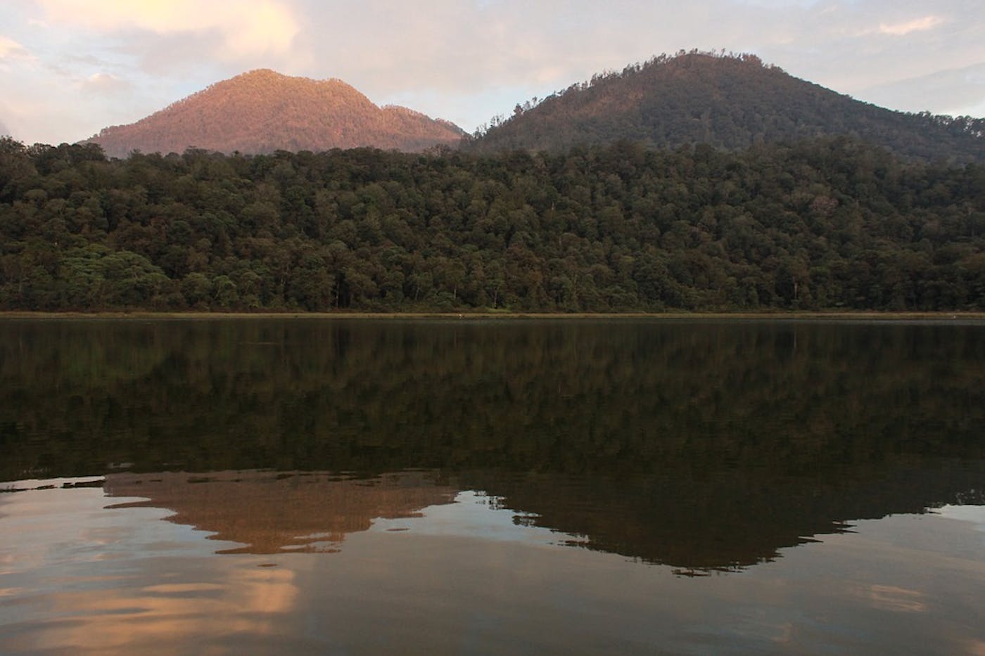 Western Java Montane Rainforests