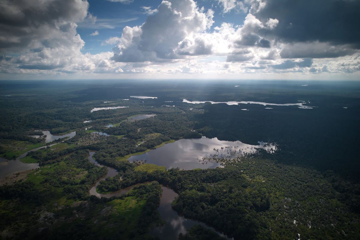 Victory for the Siekopai: Reclaiming Pë’këya and protecting the Amazon