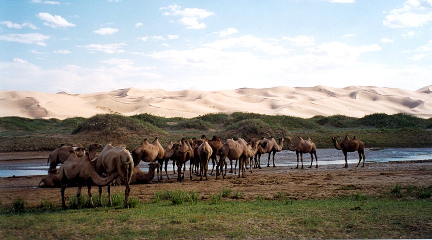 Greater Gobi Desert (PA43) | One Earth Greater Gobi Desert (PA43) | One Earth