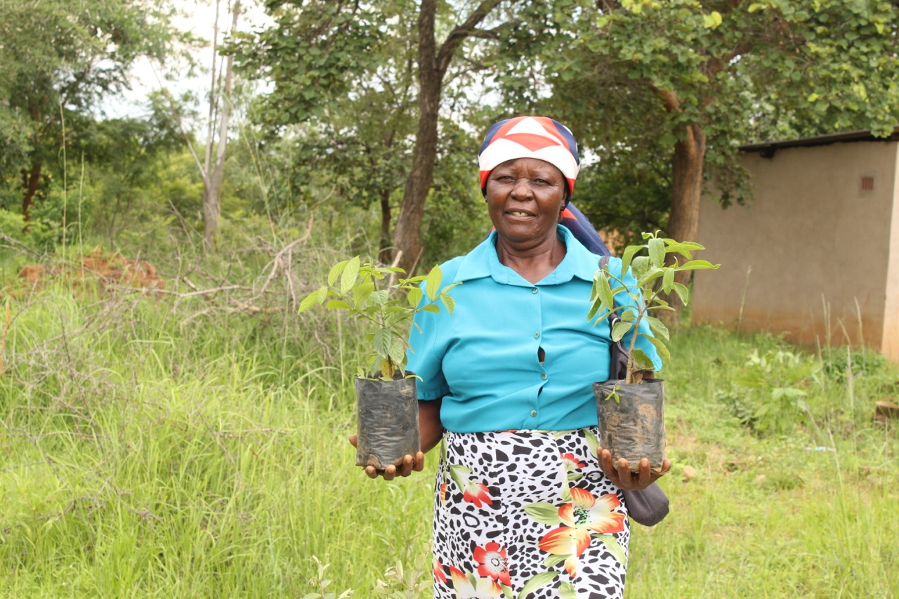 Community receiving trees for planting. Image credit: Courtesy of Research and Education for Sustainable Actions.