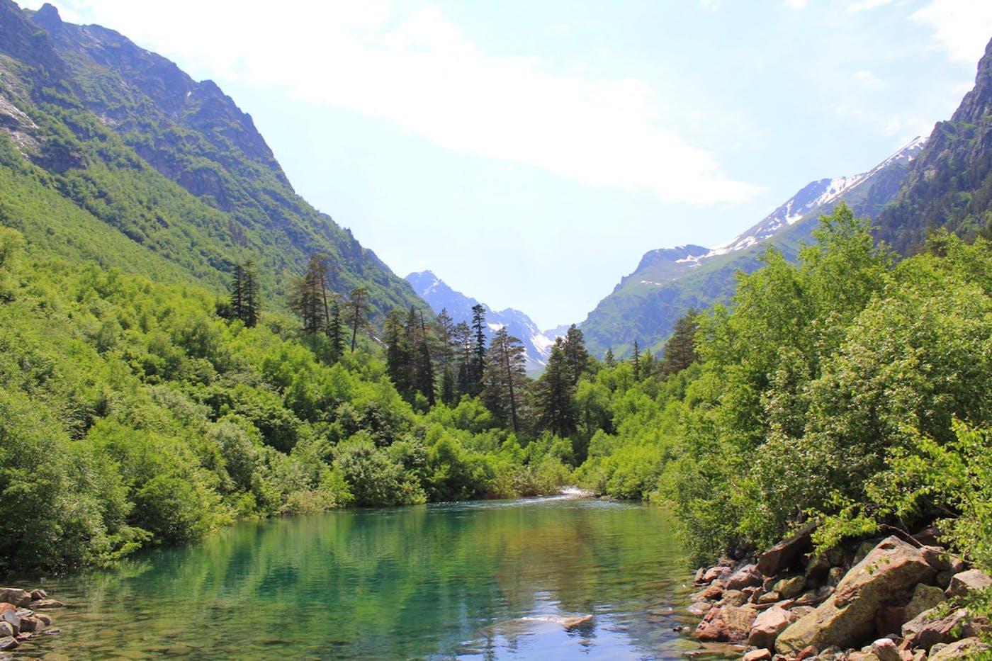 Black Sea, Caucasus-Anatolian Mixed Forests & Steppe (PA17)