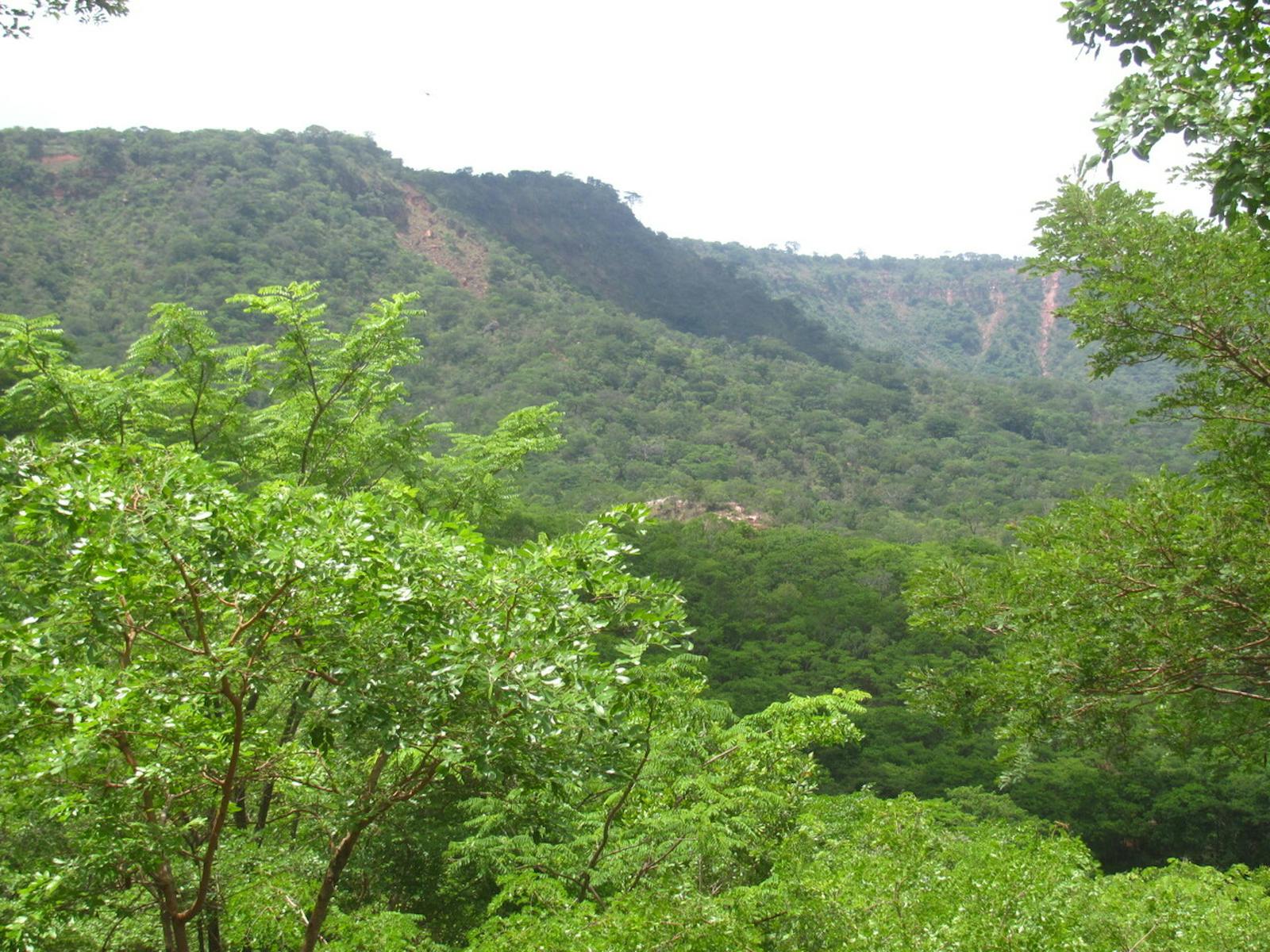 Northern Swahili Coastal Forests