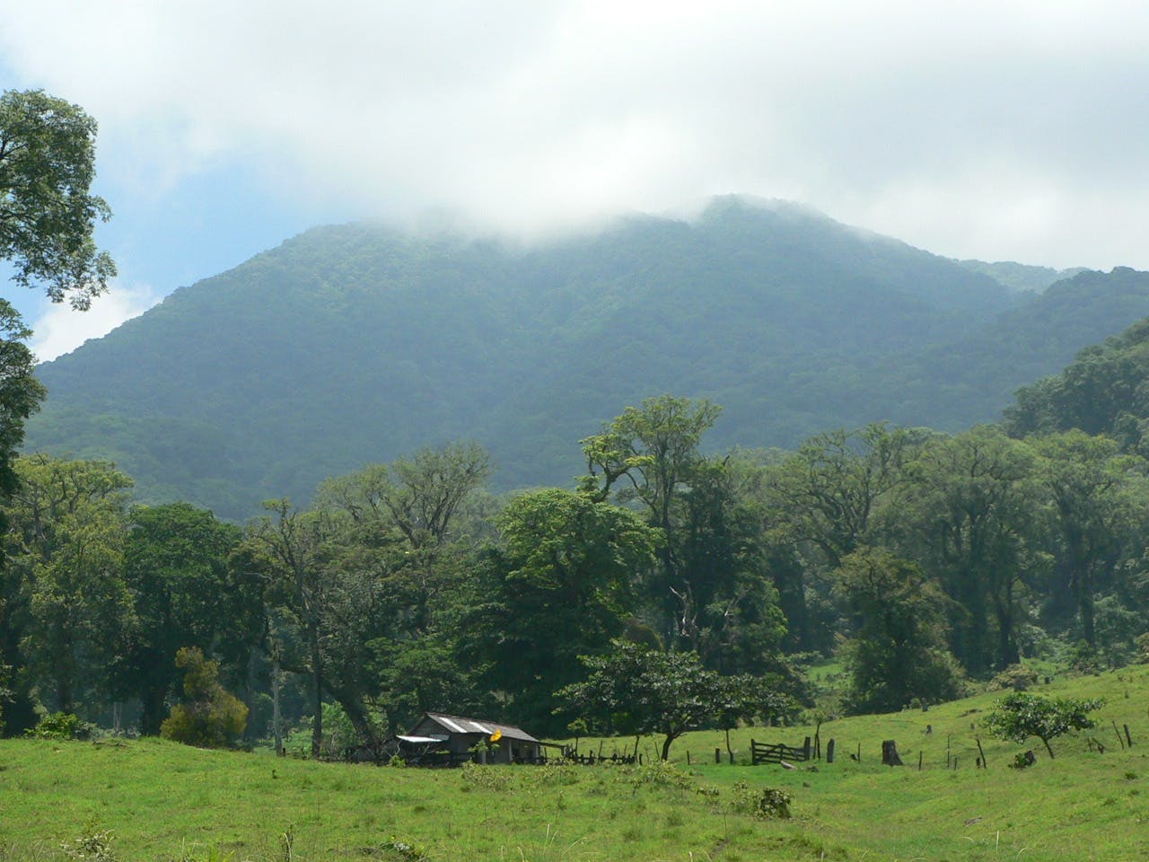 Sierra De Los Tuxtlas | One Earth