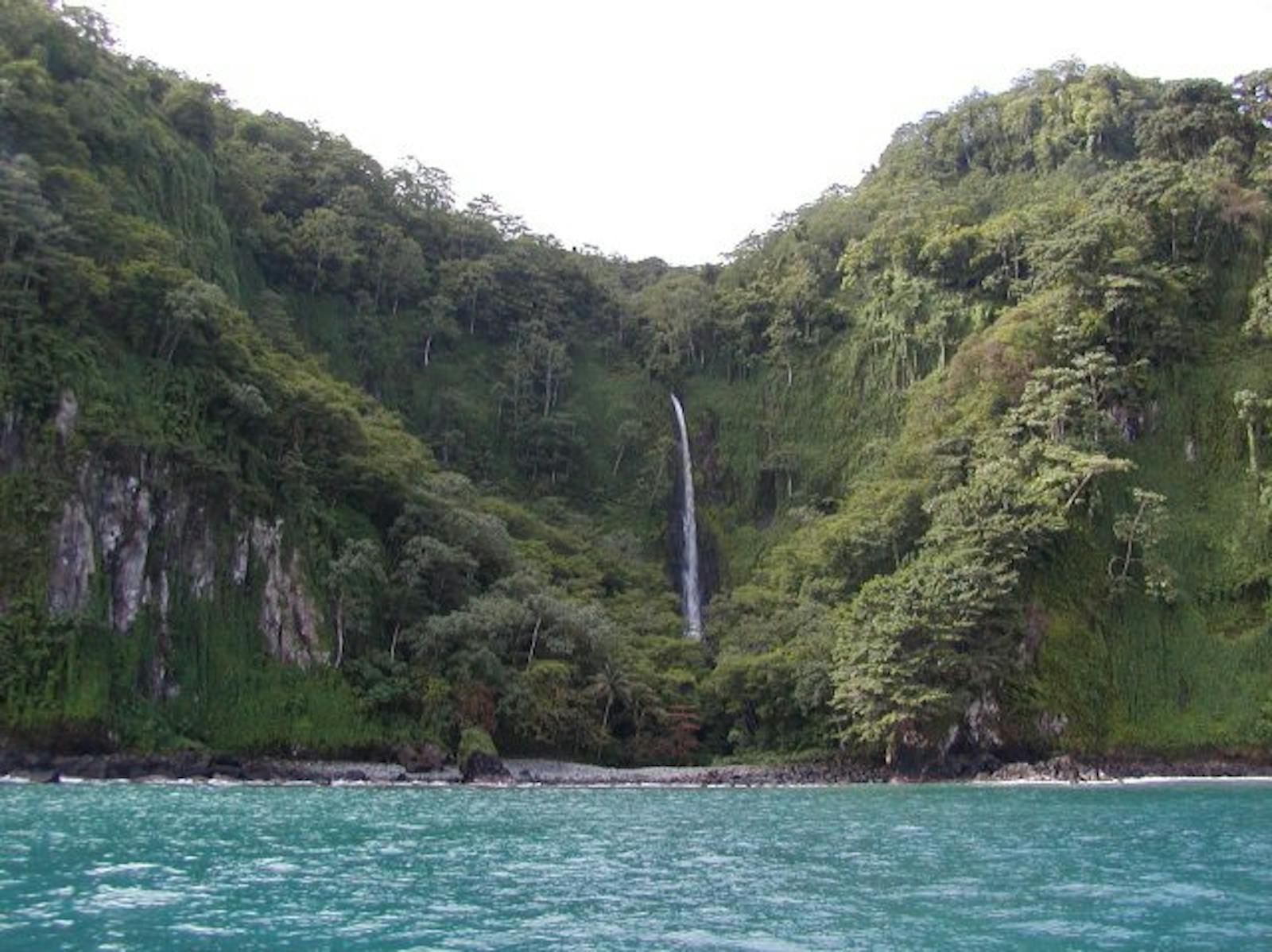 Cocos Island Moist Forests