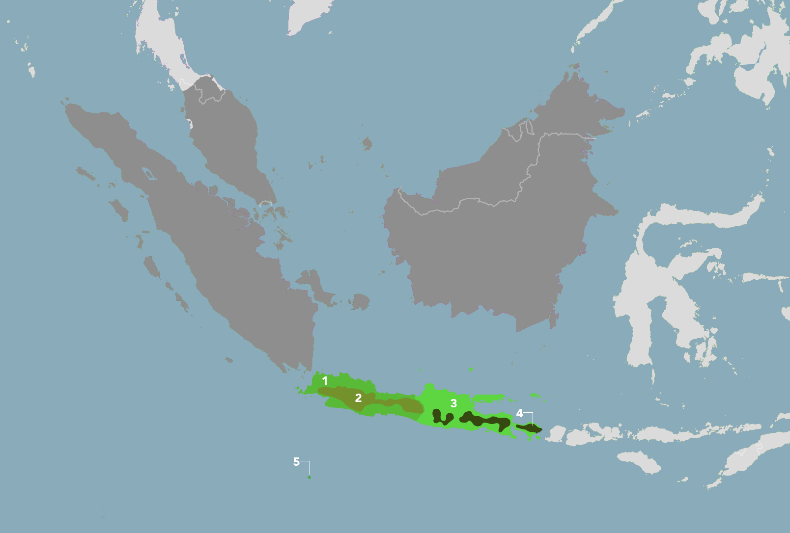 Javan-Bali Tropical Rainforests (IM17)