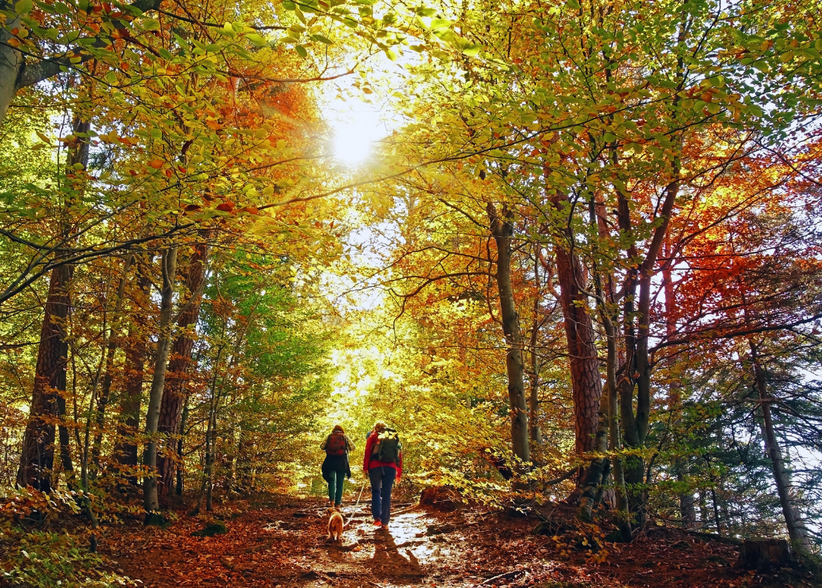 Hiking. Image Credit: Anselm Baumgart from Getty Images Pro via Canva Pro.