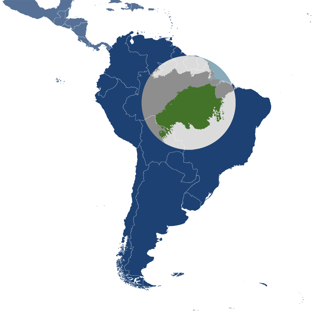 Southern Amazonian Forests Bioregion (NT17).