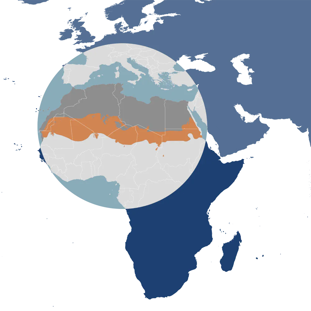The addax is the iconic species of the Southern Sahara Deserts & Mountain Woodlands bioregion (PA25), located in the North Africa subrealm of Southern Eurasia. The addax is the iconic species of the Southern Sahara Deserts & Mountain Woodlands bioregion (PA25), located in the North Africa subrealm of Southern Eurasia.