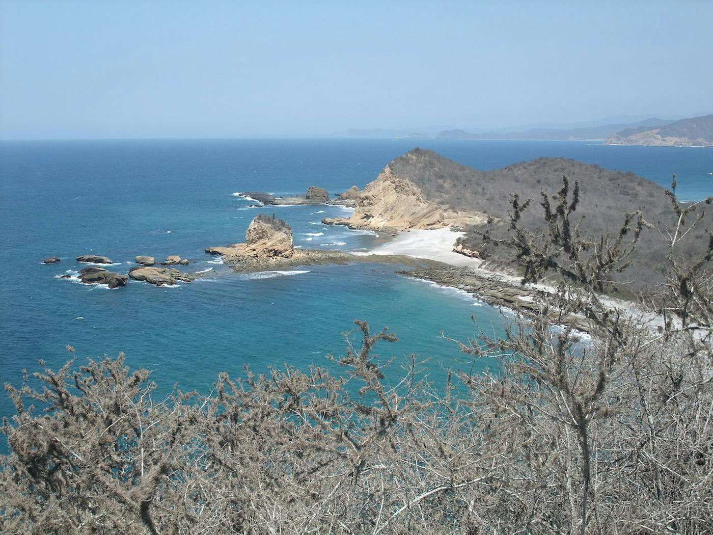 Ecuadorean Dry Coastal Forests & Flooded Grasslands (NT10)