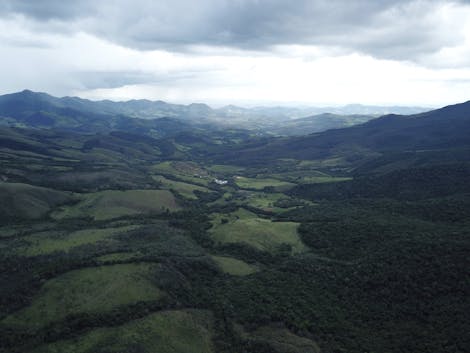 Restoring Degraded Lands by Planting 100 Hectares of Regenerative Agroforestry Systems in São Paulo State, Brazil