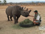 Meet the Director of the Rhino Recovery Fund