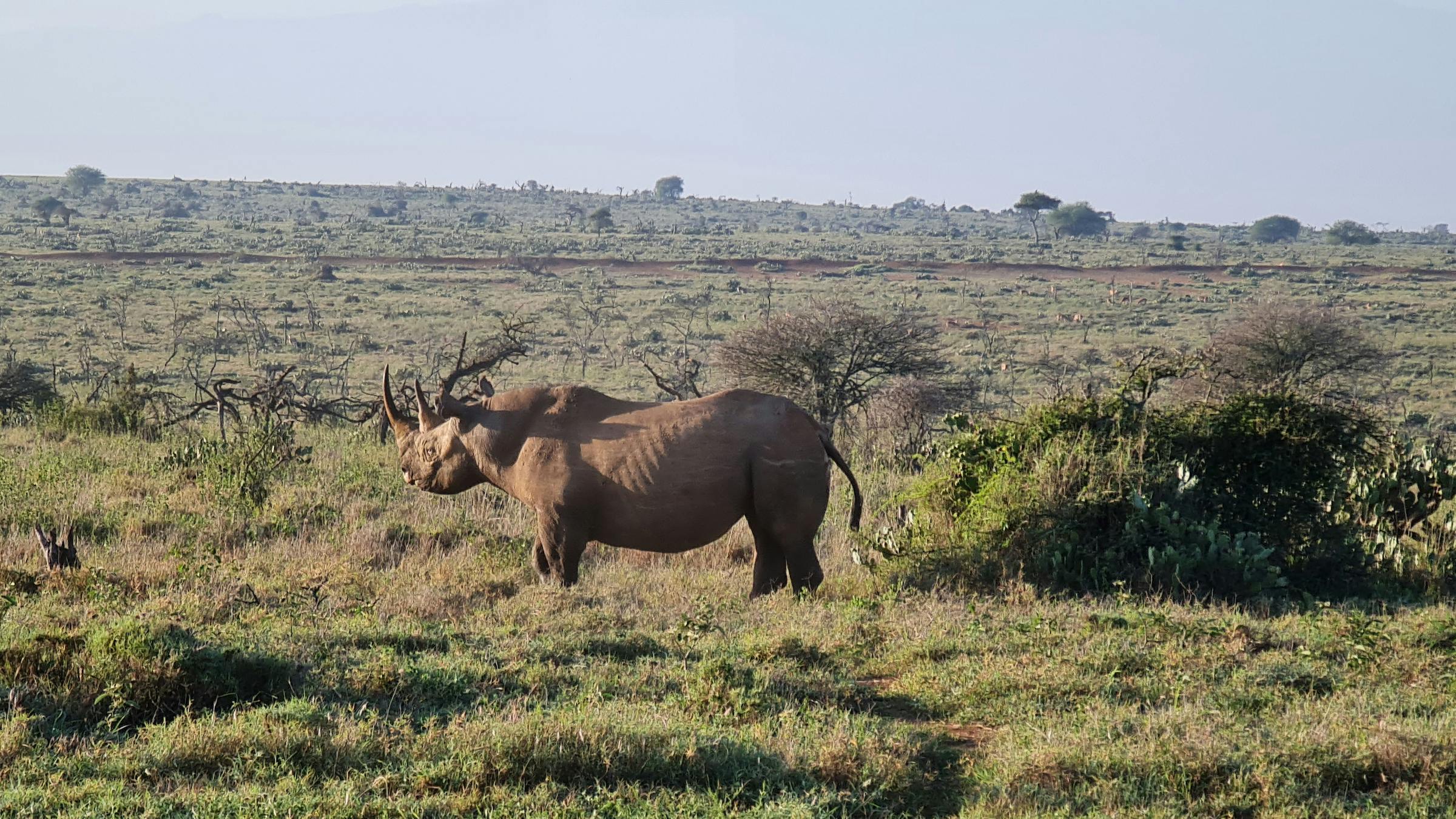 Improved Security and Monitoring of Black Rhinos in Tsavo West National Park’s Intensive Protection Zone