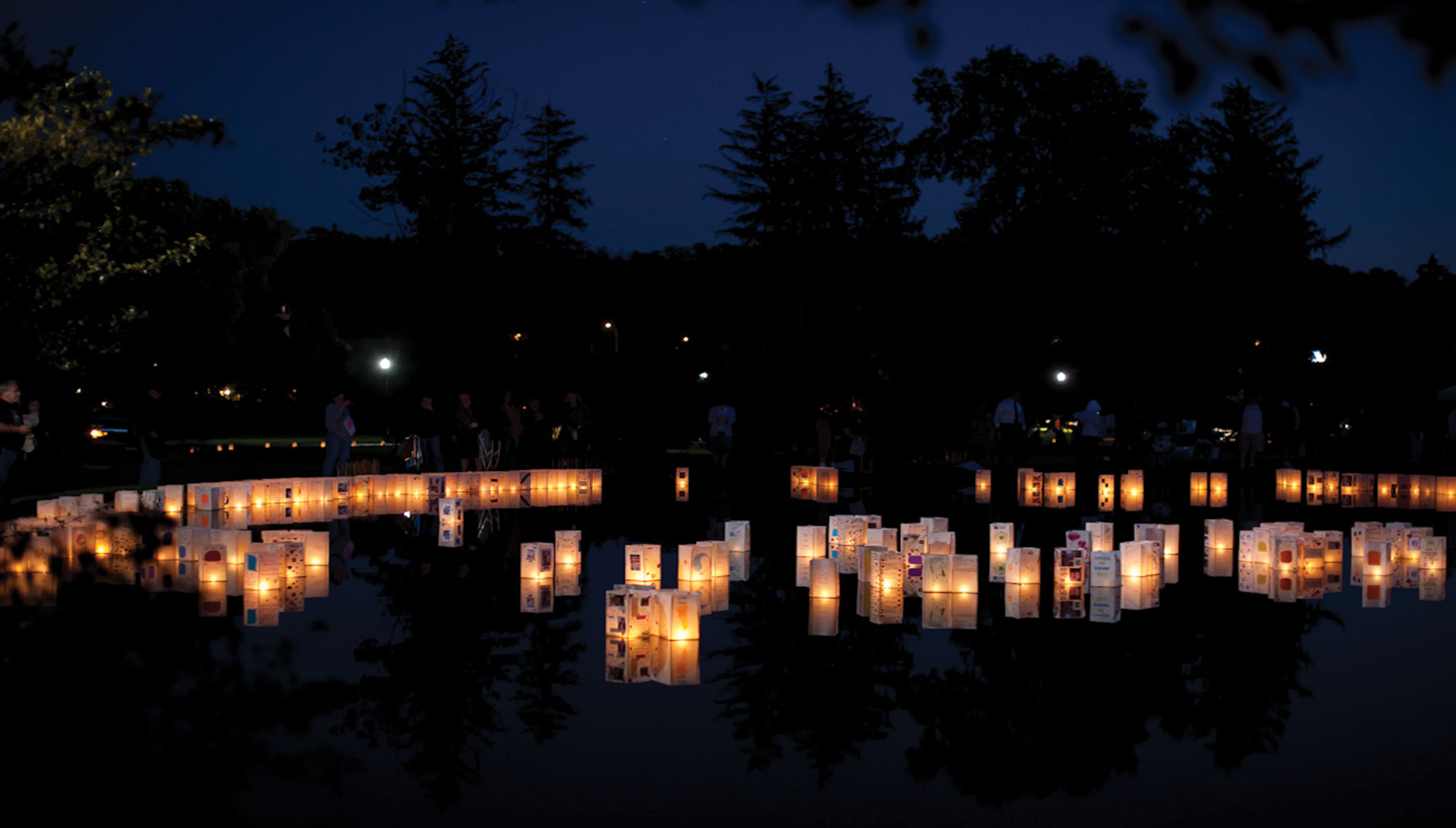 Finding Healing Support: Spring Grove Grief Resources