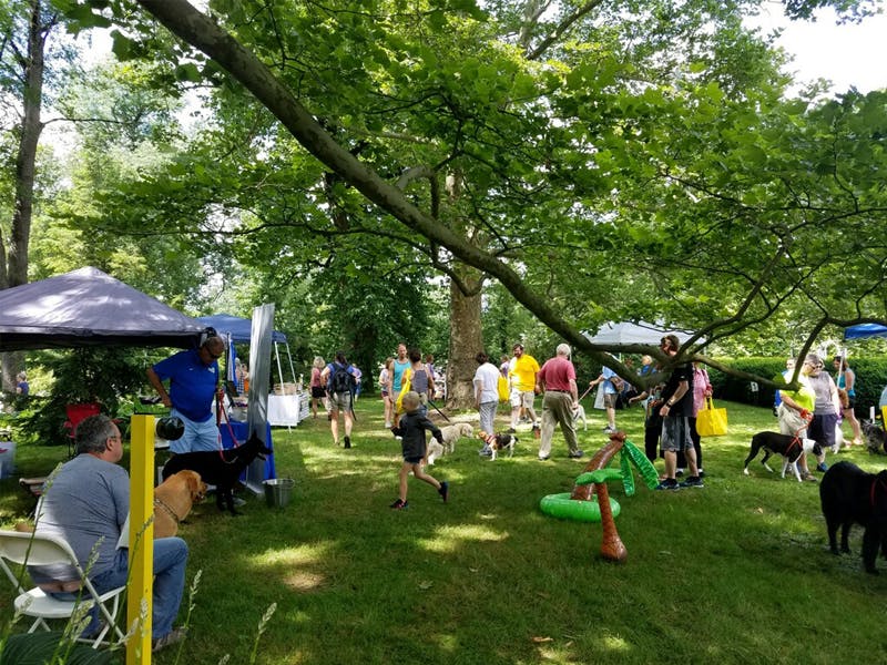 Dog Day of Summer 2023