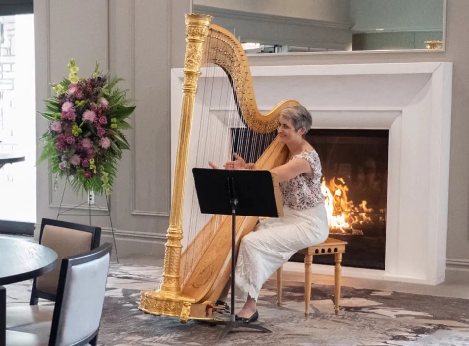 Harpist
