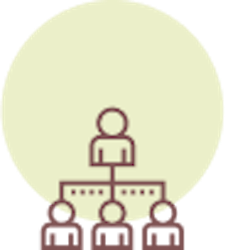 A Holistic Team Approach