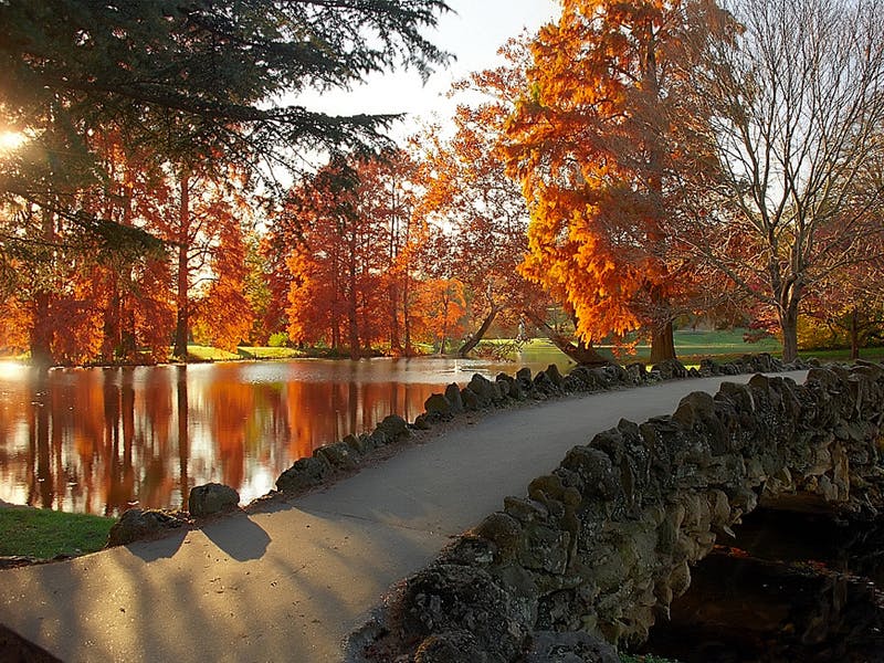 Fall Walking Tour 2023 - Sold Out