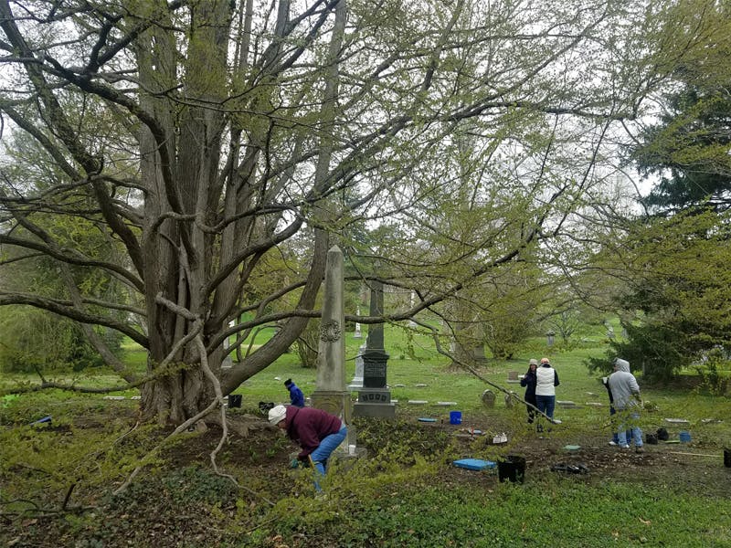 Public Volunteer Opportunity April 2023 / Morning Session
