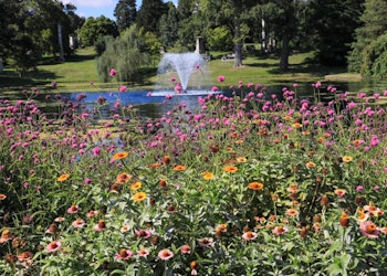 Horticulture in the Grove