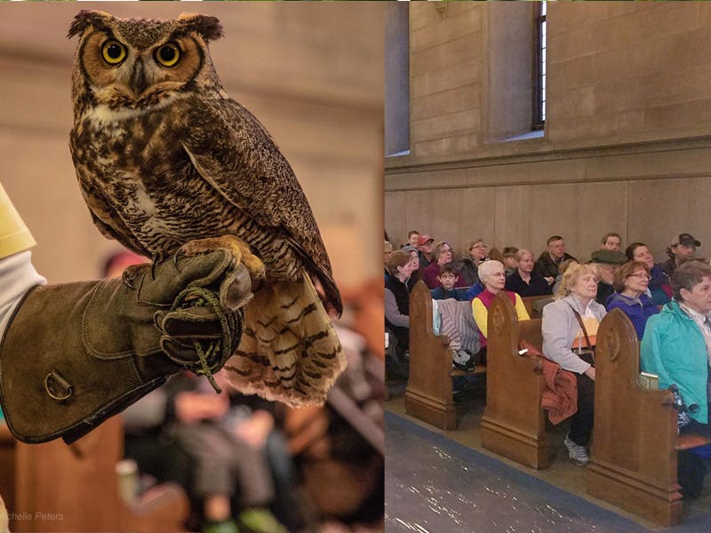 Owl Prowl 2022