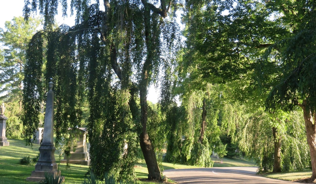 The canvas is yours to explore and make your own.