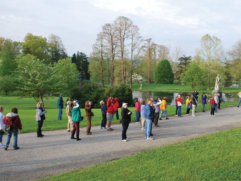 Early Morning Bird Walk 2023