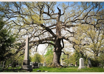 Unearthing Creative Expressions