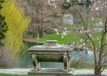 Metallic Expressions