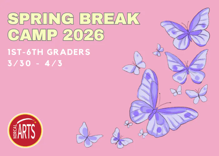 Spring Break Camp 2026