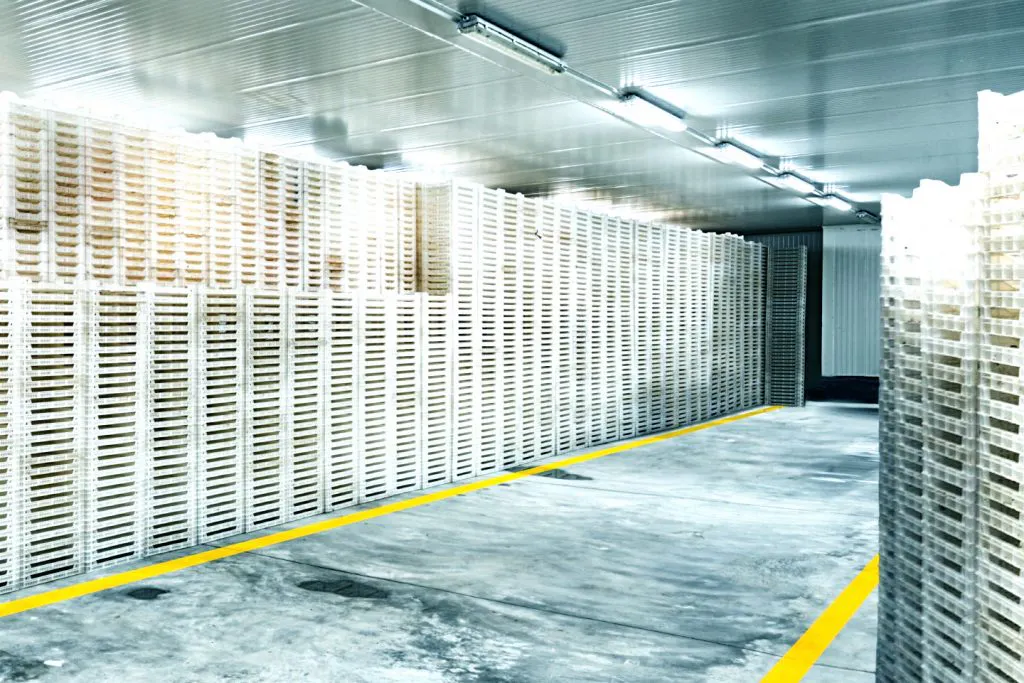 Cold-Storage Floor Marking