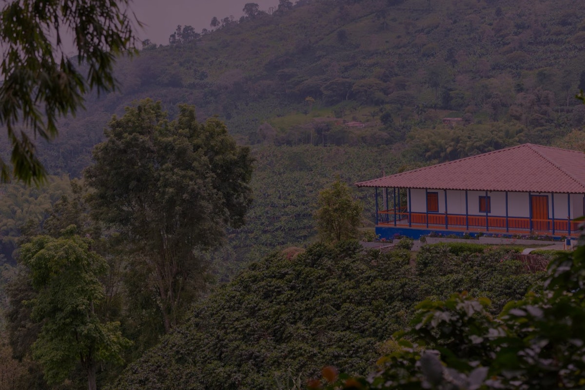 Cafe San Alberto