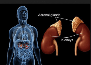 Adrenal Cancer Treatment Choices by Type and Stage