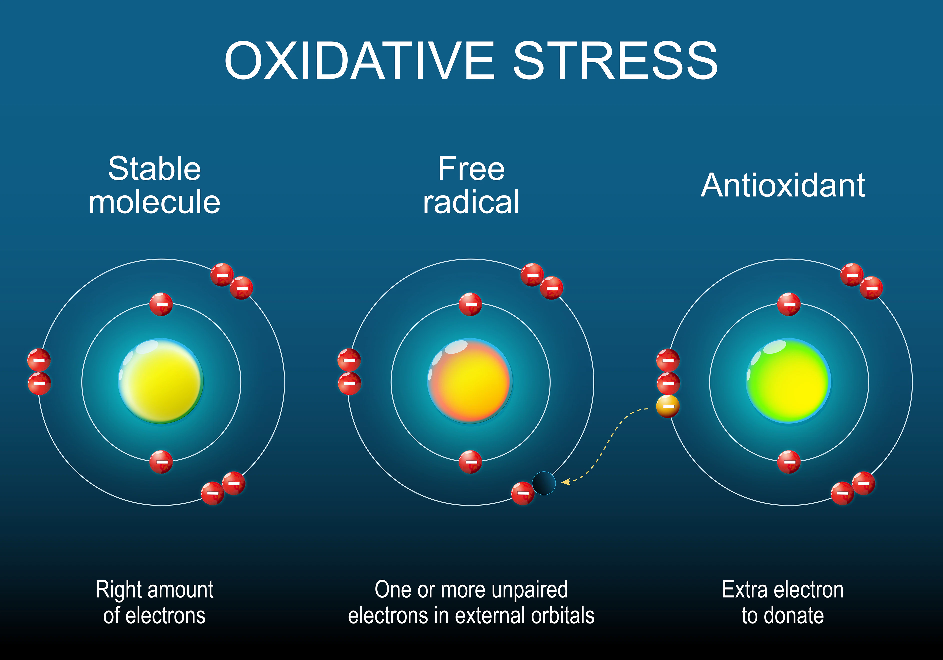 Oxidative Stress: What It Is, Why It Matters, and How Utopia Wellness Can Help