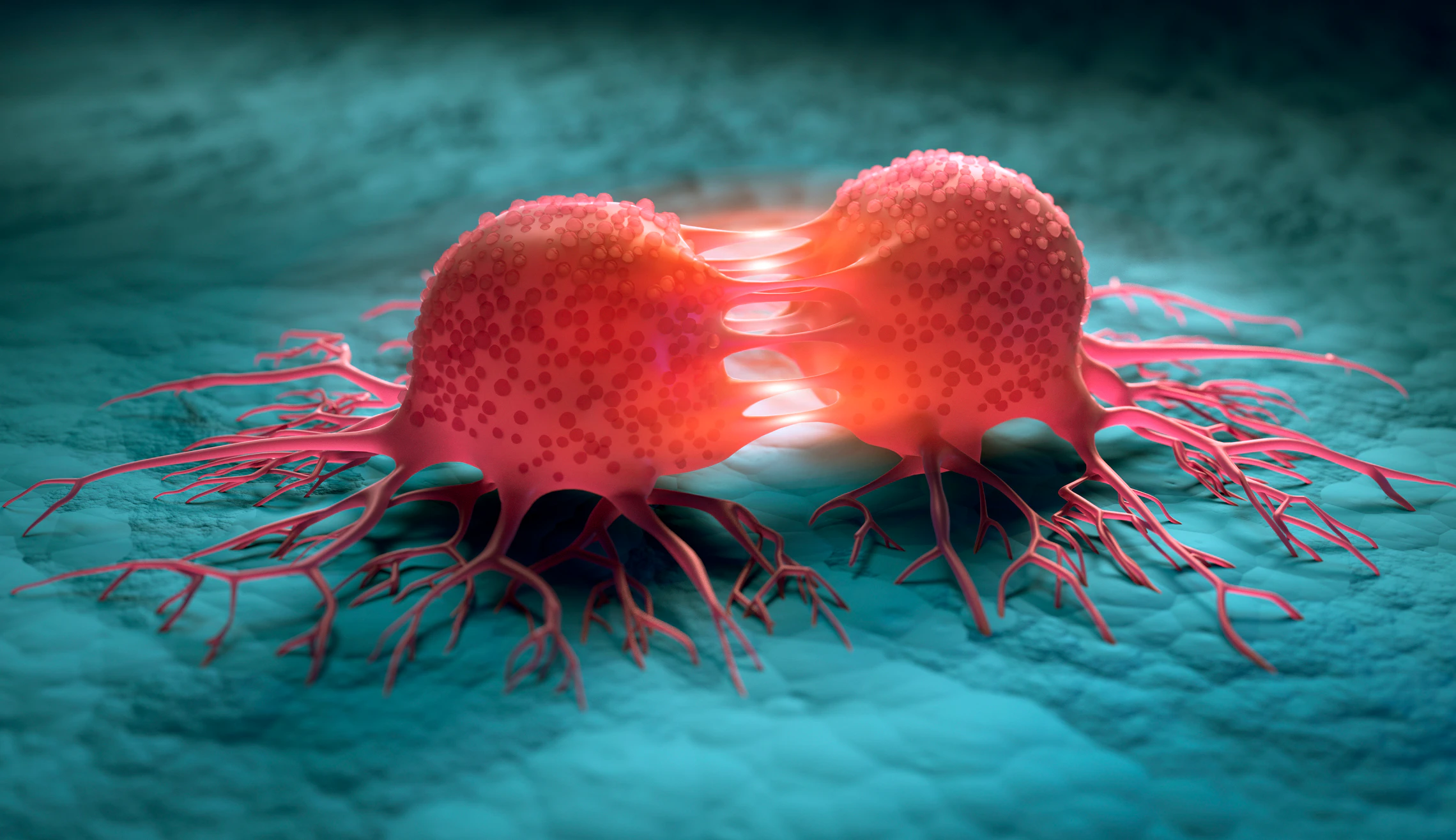 How Cancer Begins - Understanding What Happens In The Body 