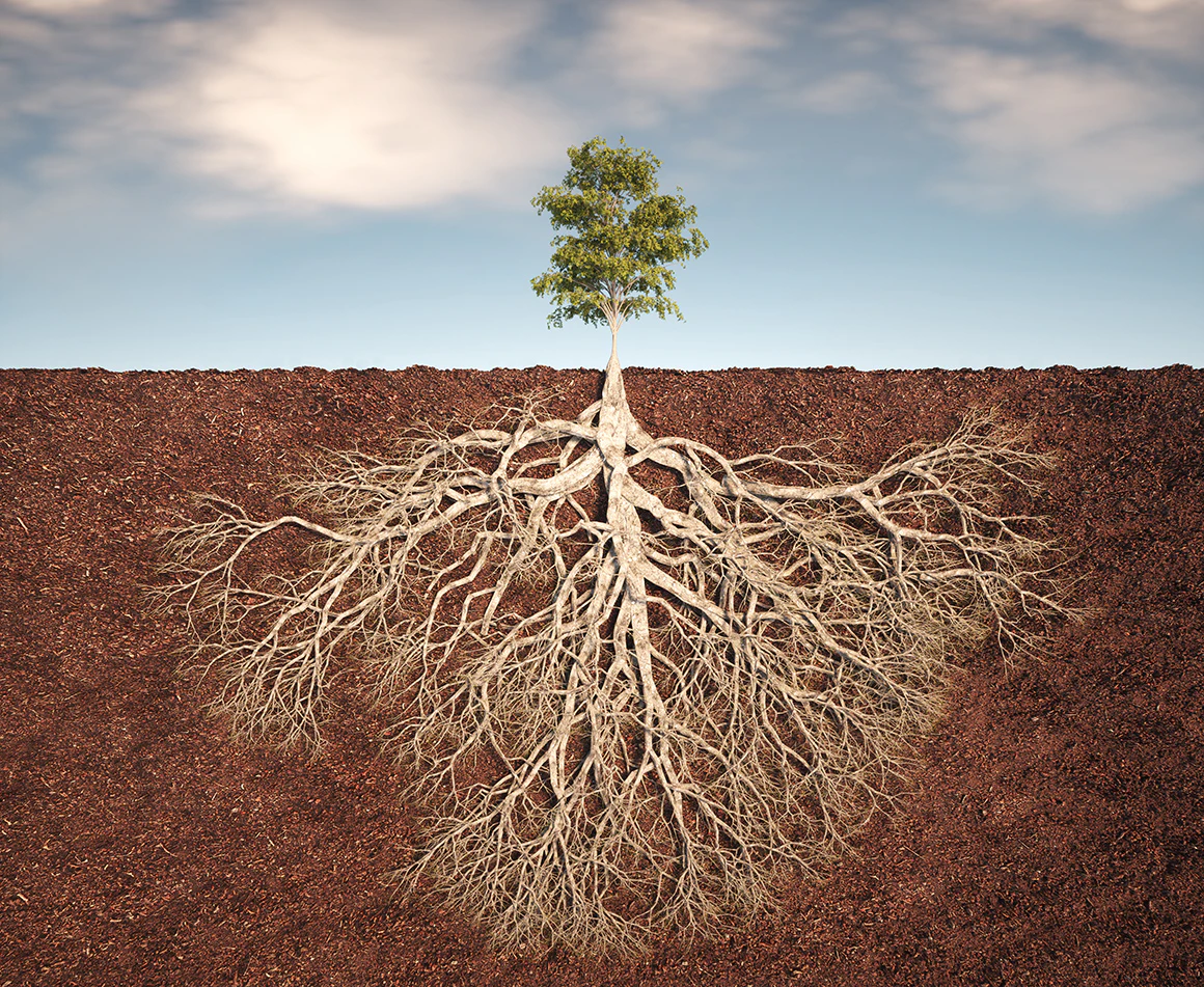 Cancer Outcomes May be Influenced by Hidden Factors