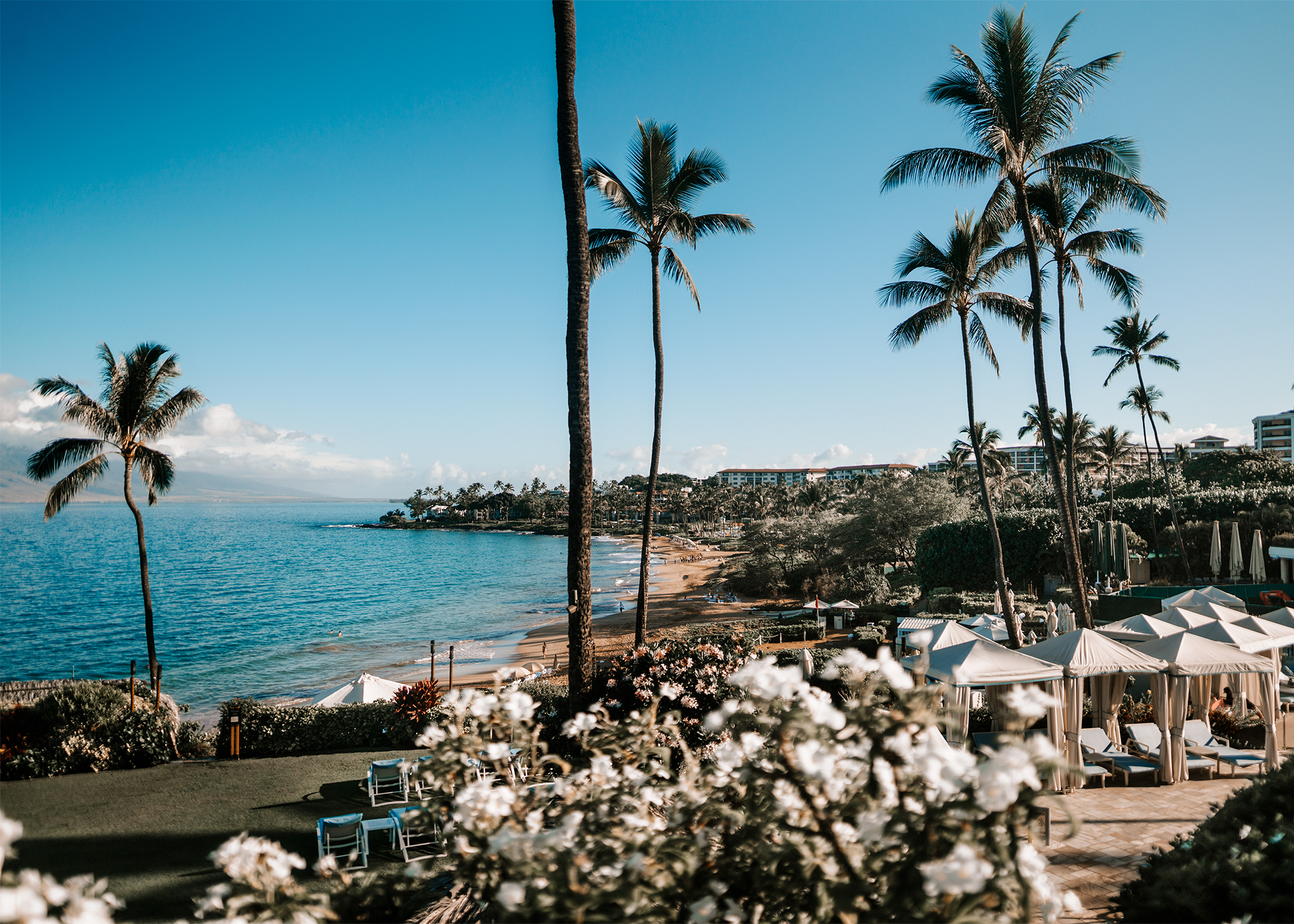 A Glam Oceanfront Wedding At The Four Seasons in Maui, Hawaii