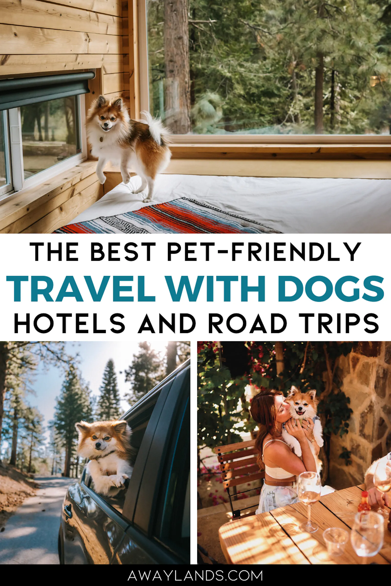 Traveling with your dog can be the trip of a lifetime if you plan right. Whether you’re heading out for a weekend getaway or a cross-country road trip, this guide covers everything you need: from pet-friendly accommodations and smart pet transport advice to the best pet friendly spots to stop. Get your pup-ready for adventure with tips that keep both of you safe, comfortable, and having fun. | travel with dogs | pet-friendly hotels | dog road trip tips | how to travel with your dog