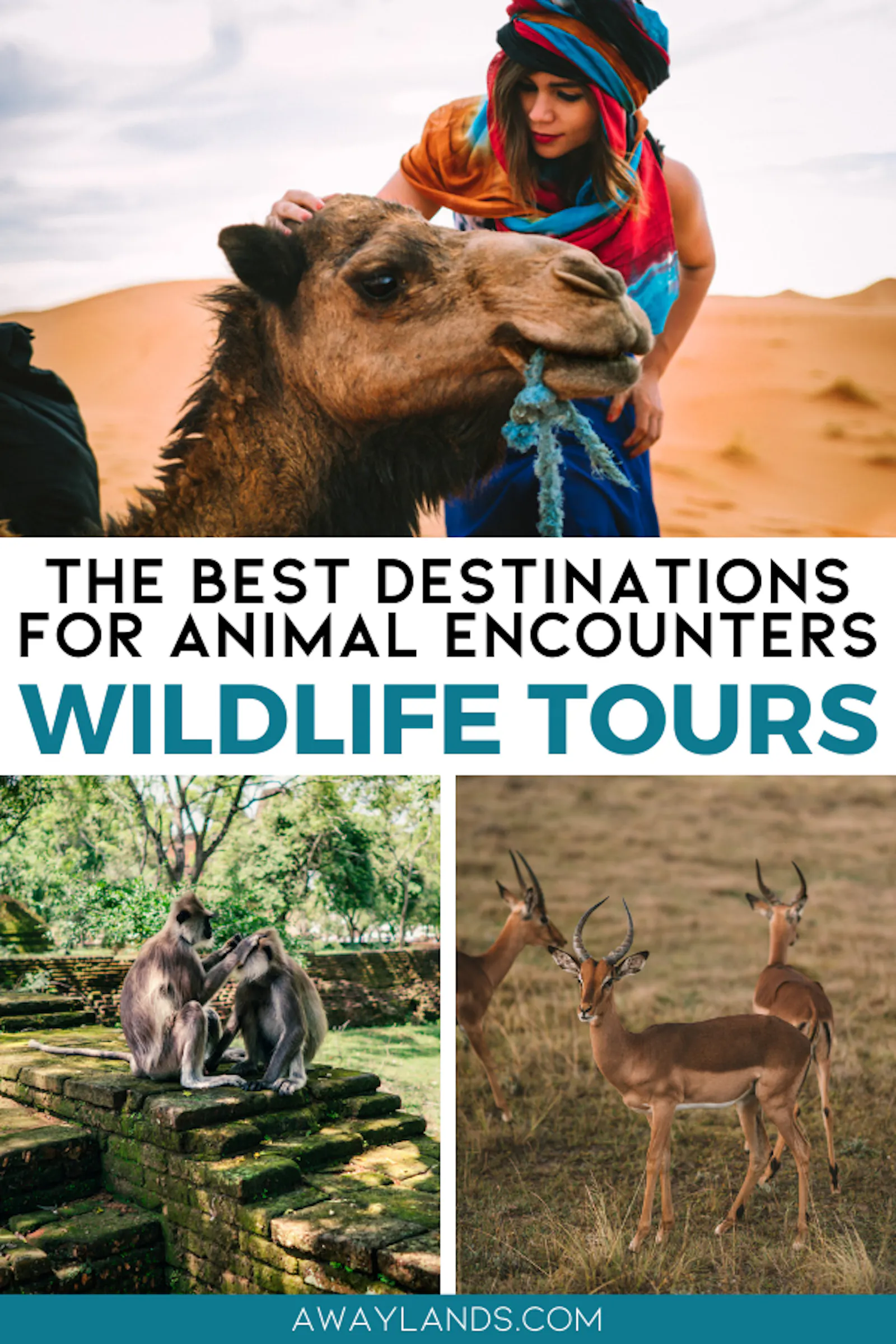 Wildlife travel lets couples experience nature up close, turning a vacation into an adventure that is both thrilling and educational. Whether paddling through African deltas, snorkeling with whale sharks in Baja California, or tracking leopards in Sri Lanka, these are some of the best wildlife adventures and tours for your travel bucket list. | wildlife travel destinations | wildlife adventure | wildlife tourism | wildlife trips | bucket  list travel destinations