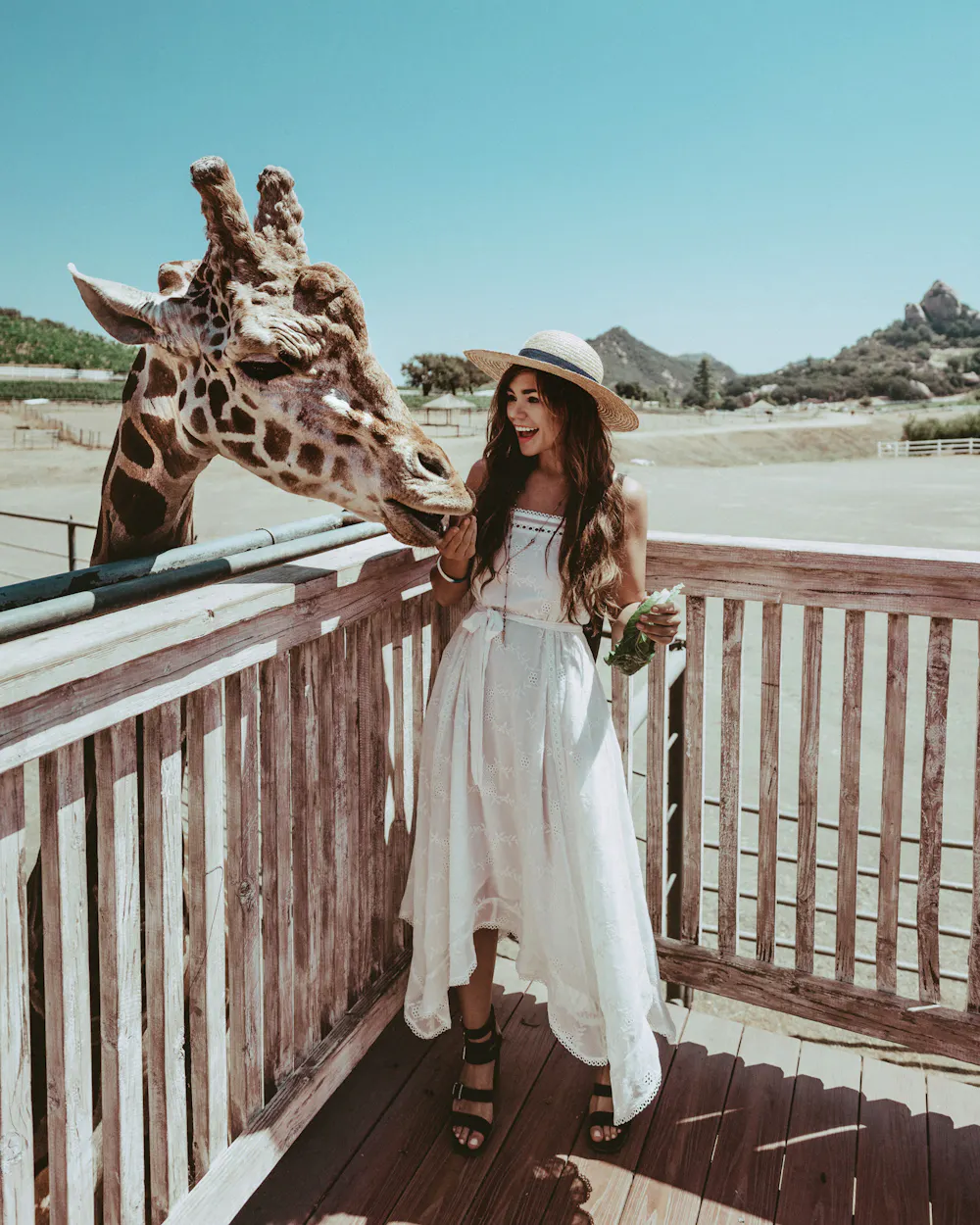 A Wedding Weekend in California’s Conejo Valley: Venues, Scenery, and Celebration