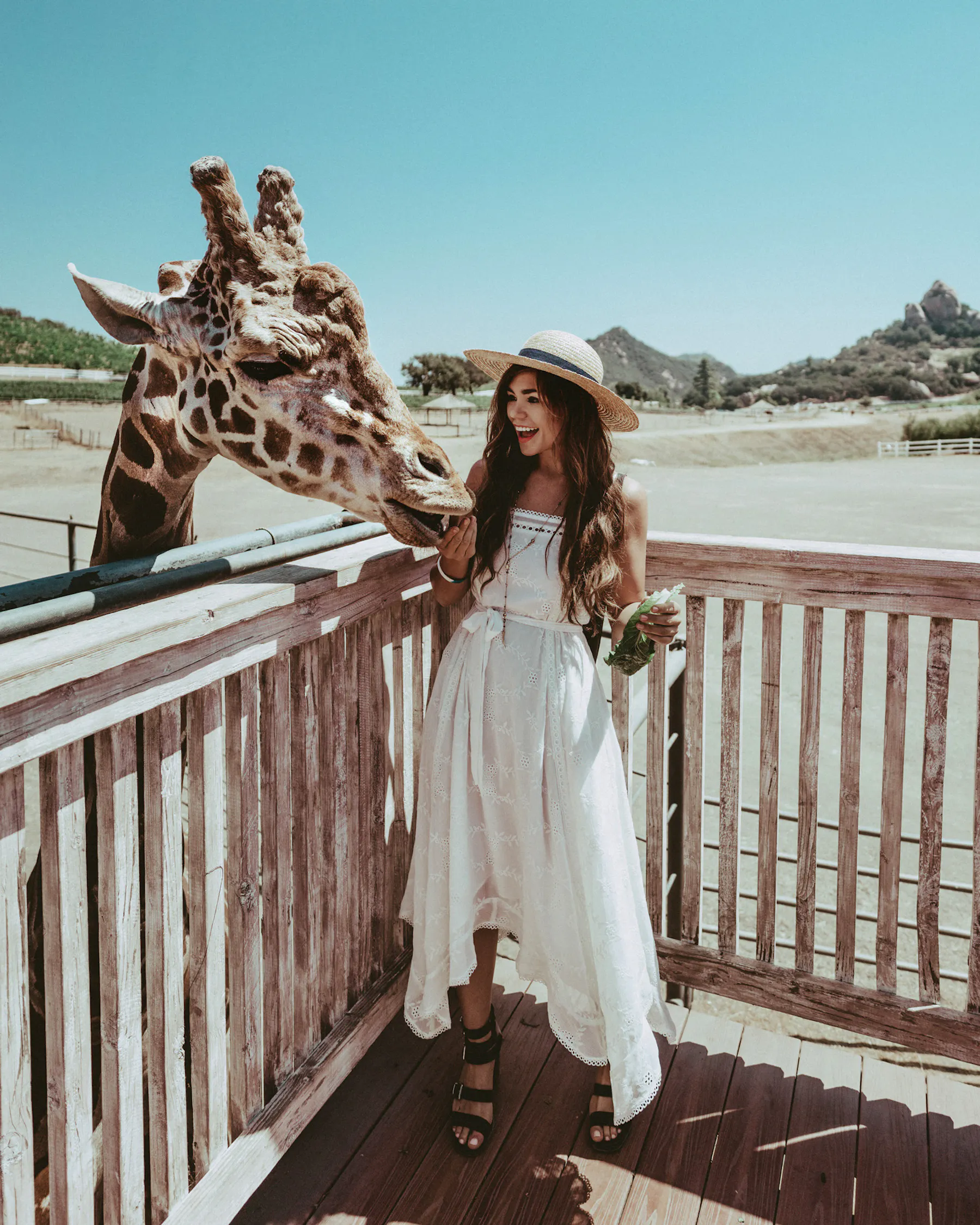 A Wedding Weekend in California’s Conejo Valley: Venues, Scenery, and Celebration