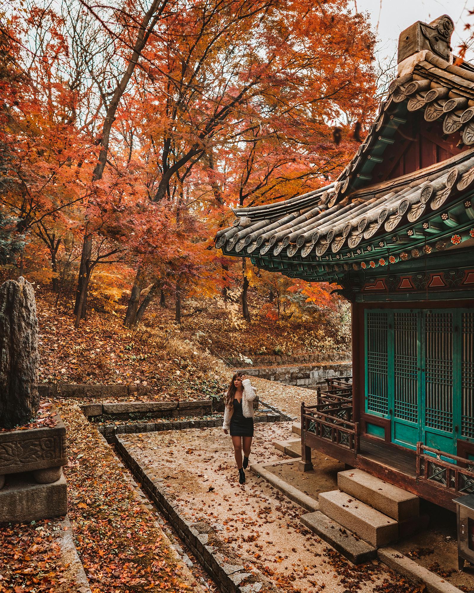 The Instagrammable Guide To Fall Leaves In Seoul Korea Away Lands