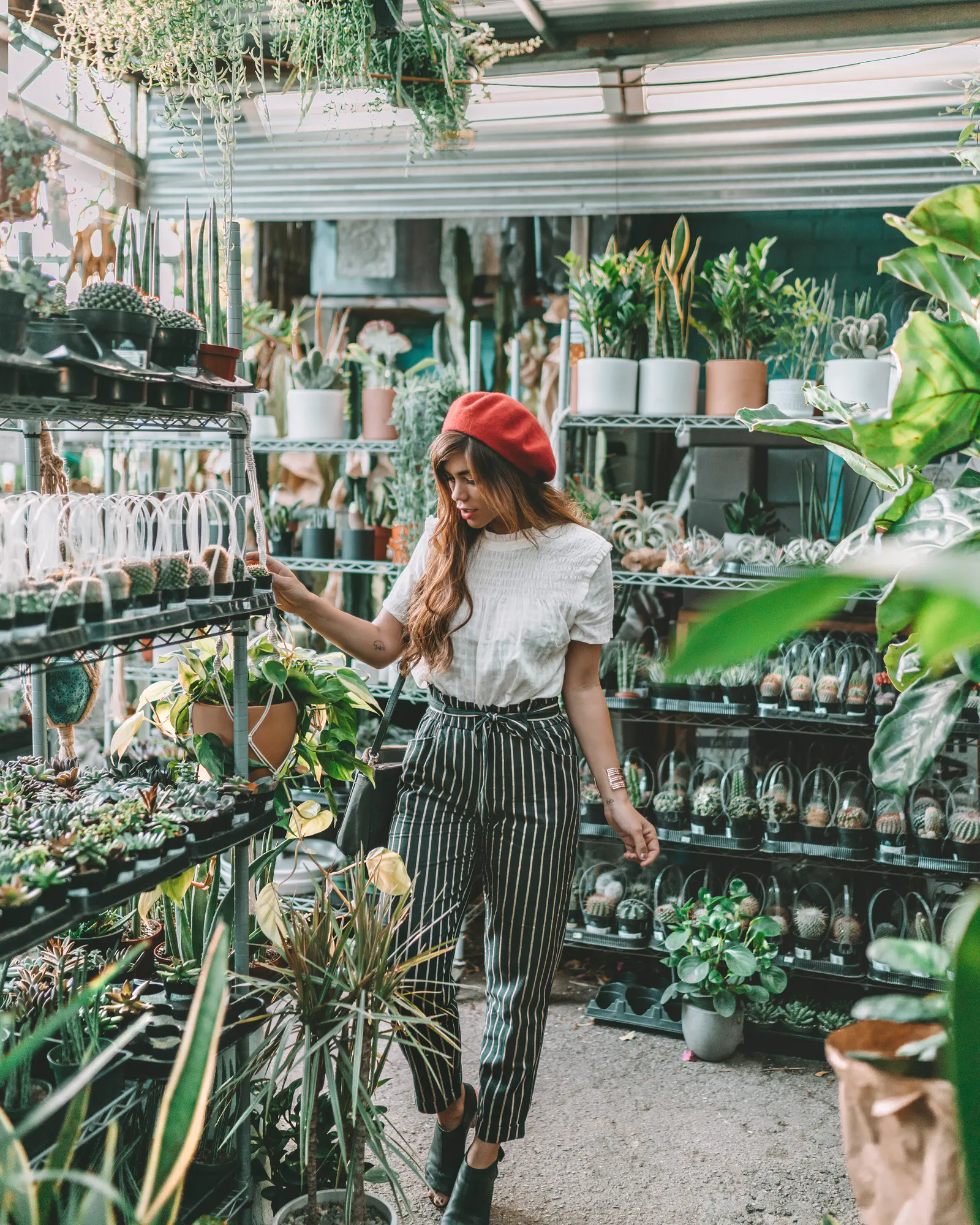 How to Lower Humidity in an Indoor Garden: 6 Effective Ways