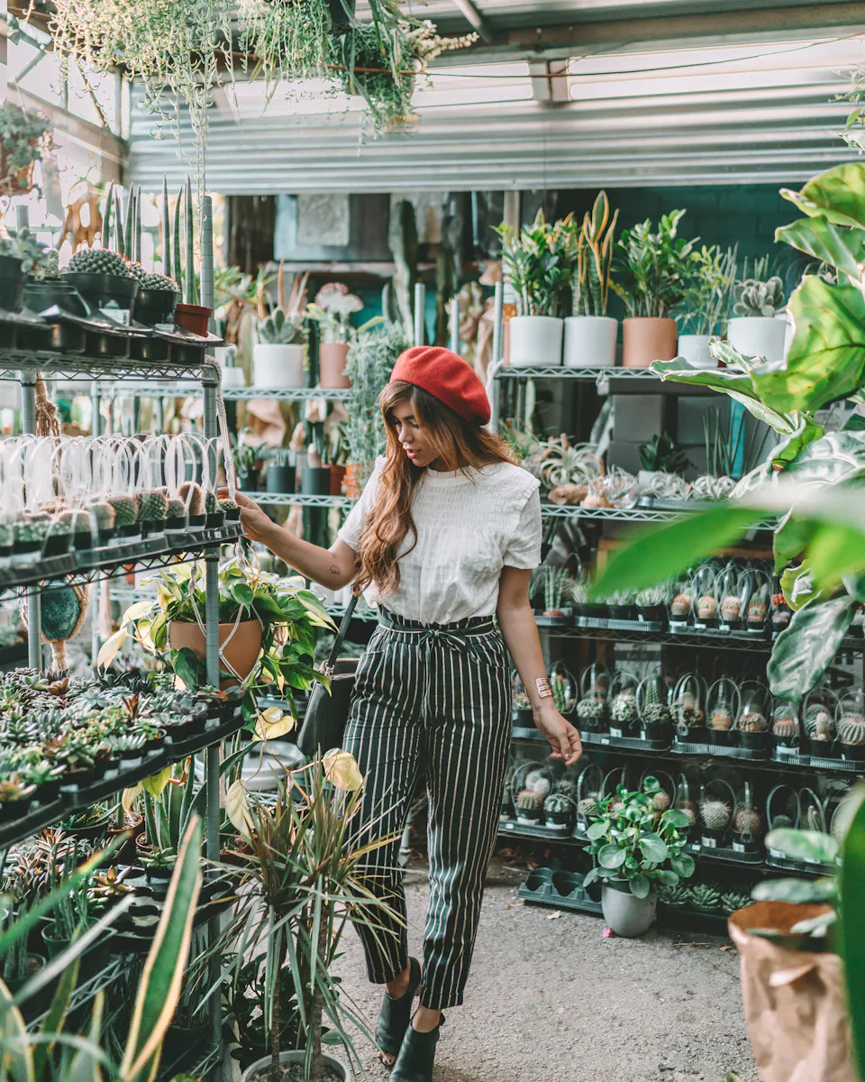 How to Lower Humidity in an Indoor Garden: 6 Effective Ways