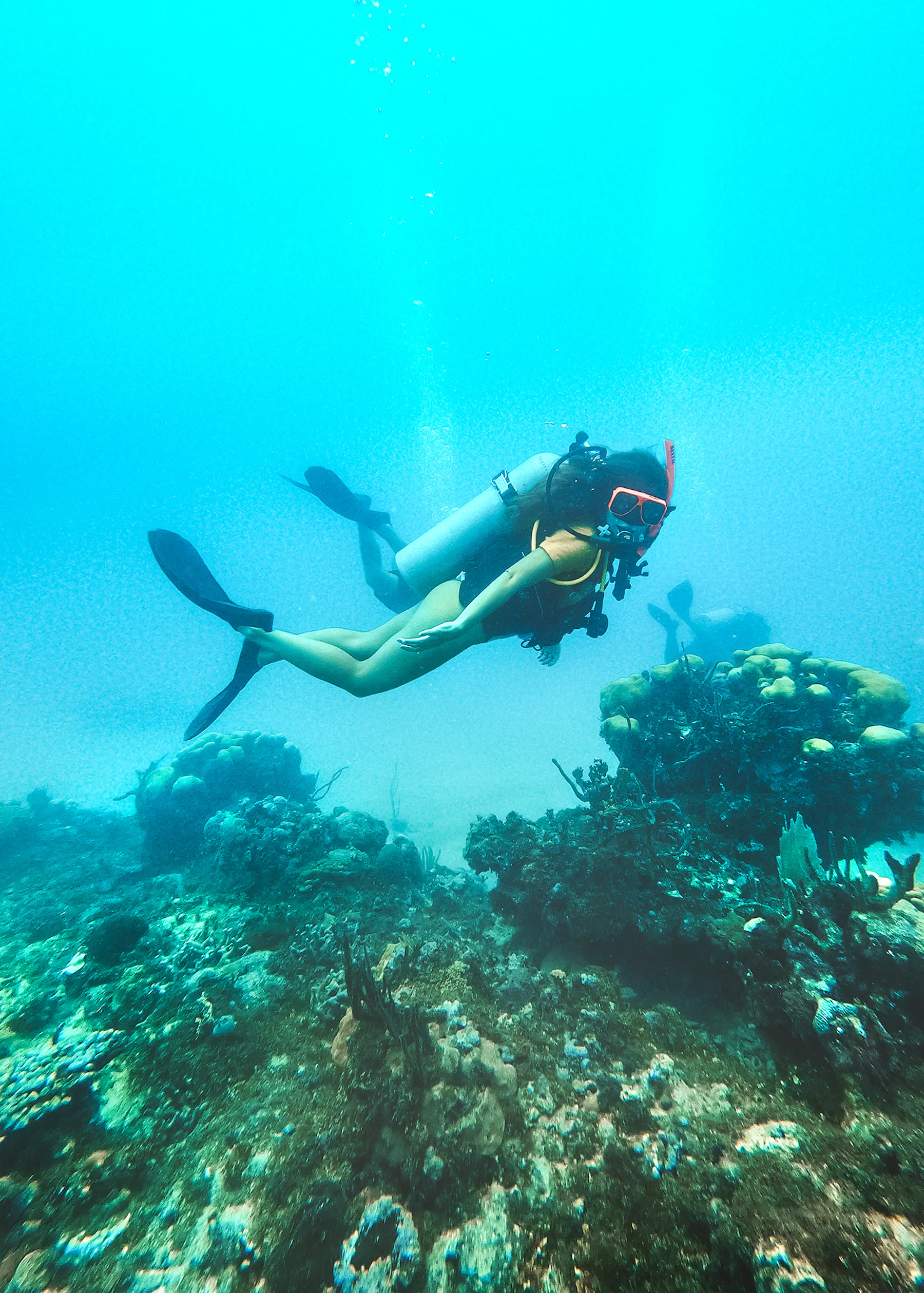 PADI Certification at Sandals Resorts: Costs, Training, and What to Expect