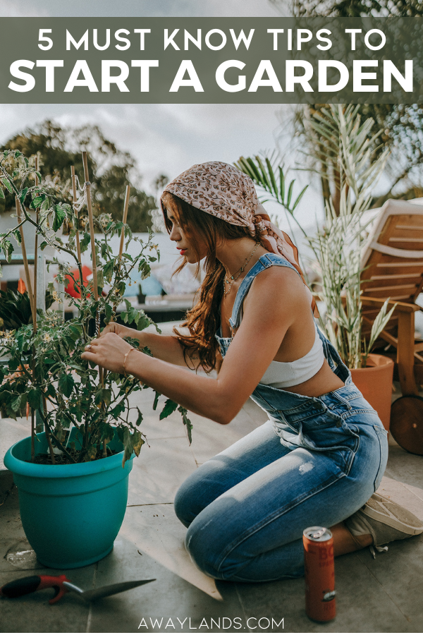 A great garden doesn’t happen by accident - It takes a little planning, a bit of effort, and the right approach. Whether you are adding a few flowers to decorate your walkway, fully landscaping a yard, or planning on growing your own food, here are the beginner gardening tips you need to know. | best tips for beginner gardeners | how to start a garden for beginners | beginner garden tips