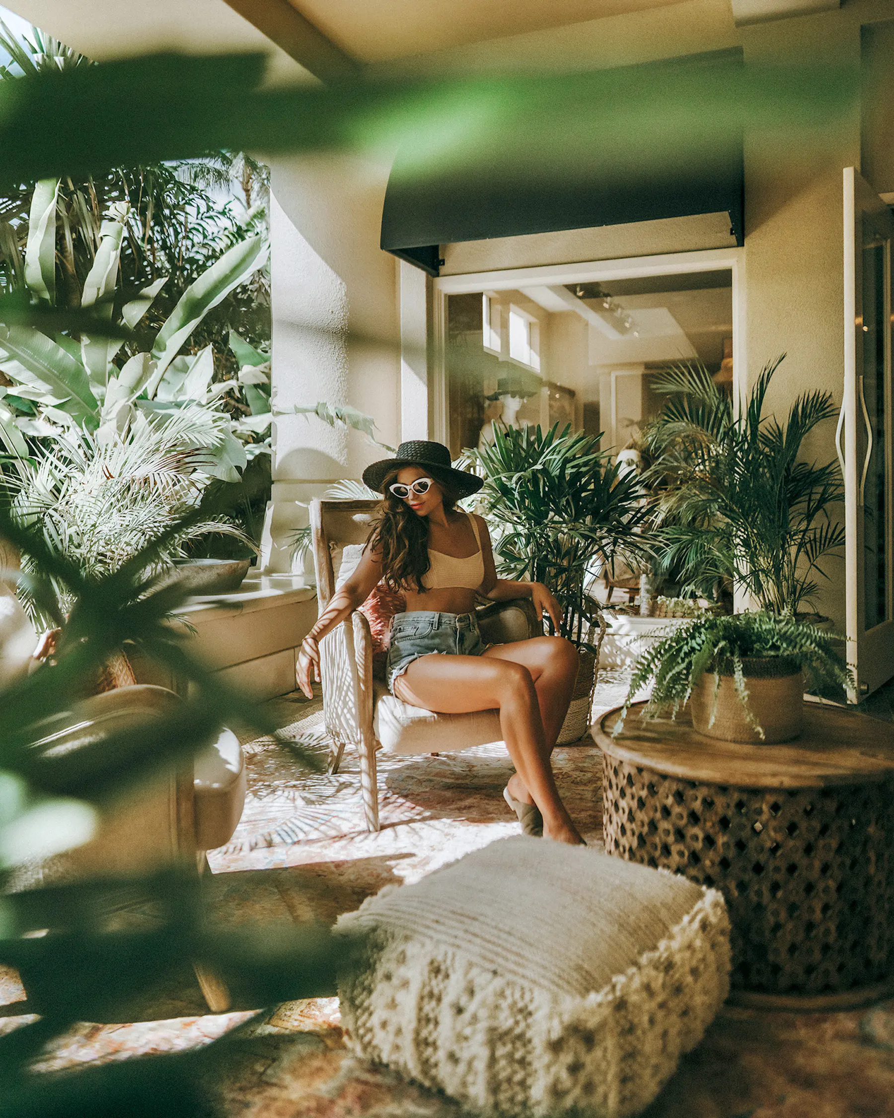 15 Essential Houseplant Accessories for Healthier Indoor Plants