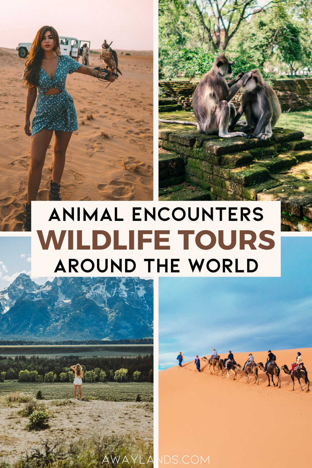 Wildlife travel lets couples experience nature up close, turning a vacation into an adventure that is both thrilling and educational. Whether paddling through African deltas, snorkeling with whale sharks in Baja California, or tracking leopards in Sri Lanka, these are some of the best wildlife adventures and tours for your travel bucket list. | wildlife travel destinations | wildlife adventure | wildlife tourism | wildlife trips | bucket  list travel destinations