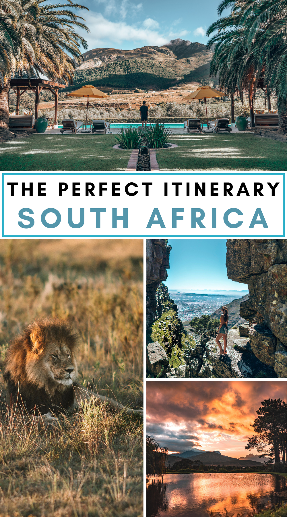 Whether you are tracking elephants in the bush, driving the Garden Route’s coastal curves, or sipping Chenin Blanc under the Cape Winelands sun, this South Africa itinerary will help you find the best of Cape Town and the Garden Route. | south africa | south africa road trip itinerary | south africa travel guide | south africa what to do | cape town south africa | garden route south africa