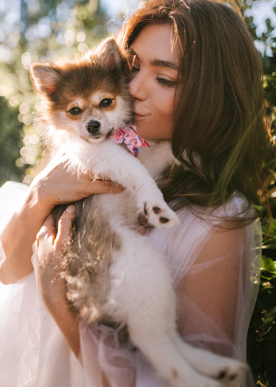 9 Essential Puppy Supplies You Actually Need During the First Week