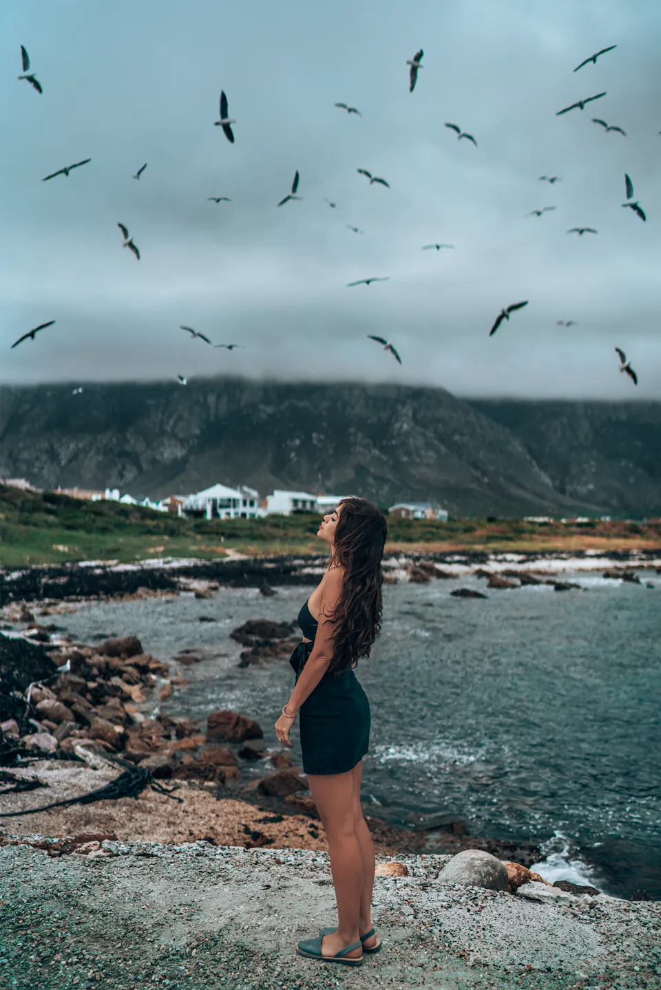 5 Reasons Why Guided Trips in Iceland Beat Renting a Car